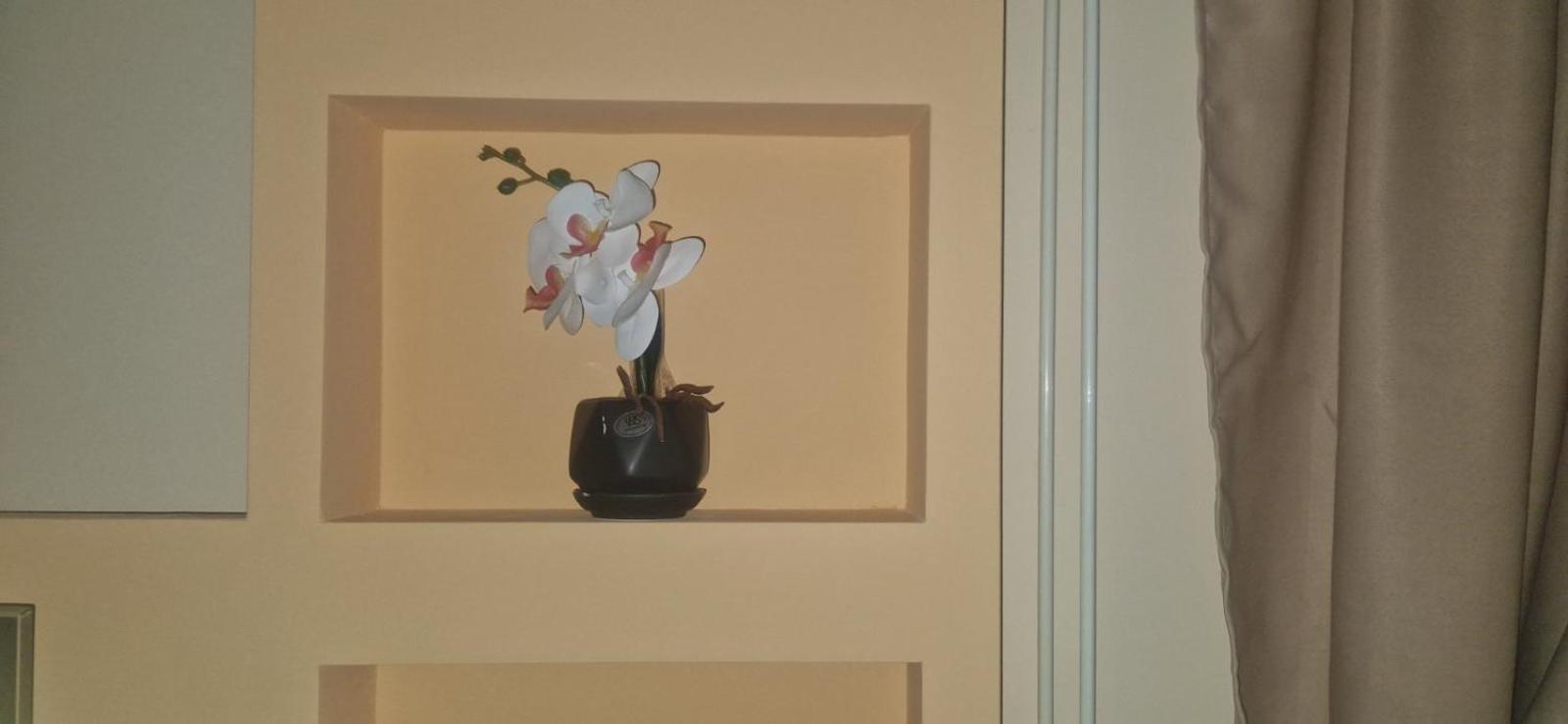 Apartmani Jasmina Zlatibor Exterior foto